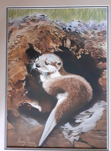 Acrylic, Otter at Chester Zoo.
